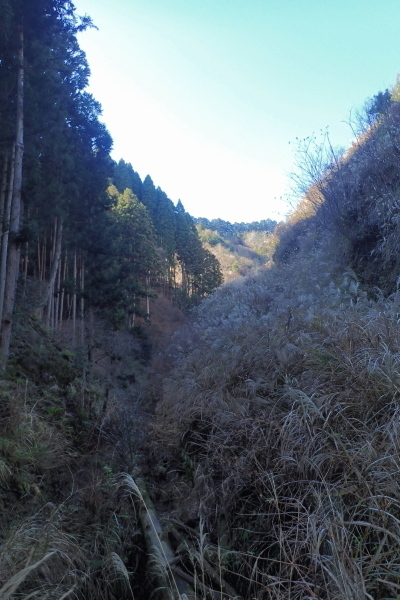 TG20250113_006.jpg