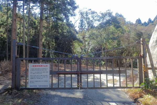 TG20250113_008.jpg