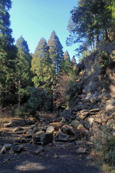 TG20250113_012.jpg