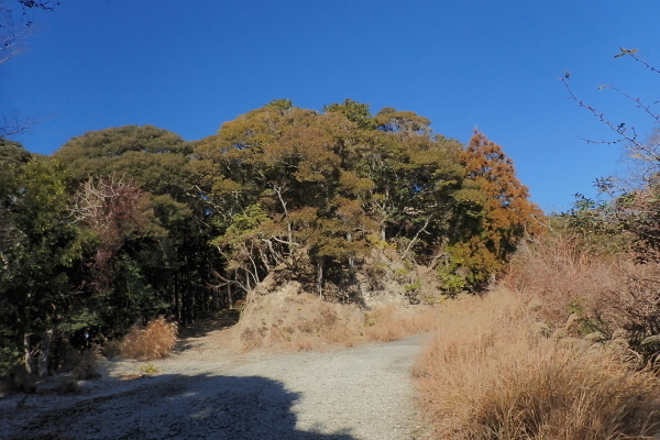 TG20250113_014.jpg