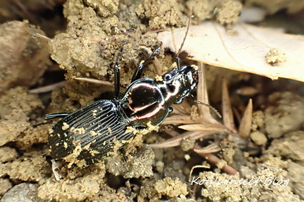 TG20250113_031.jpg