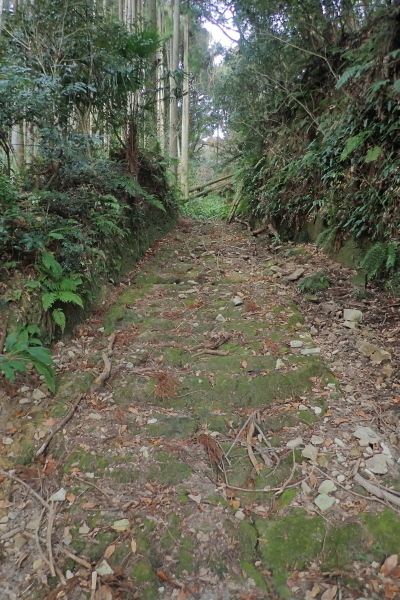 TG20250201_004.jpg