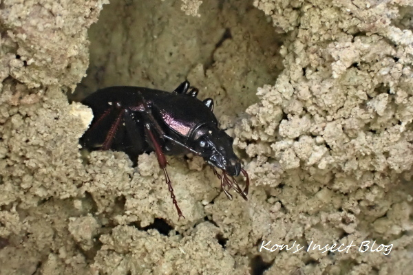 TG20250201_015.jpg