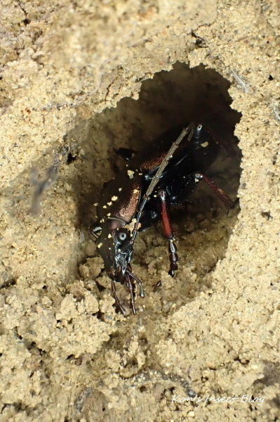 TG20250201_017.jpg