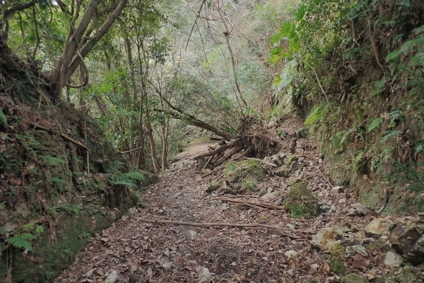 TG20250201_024.jpg