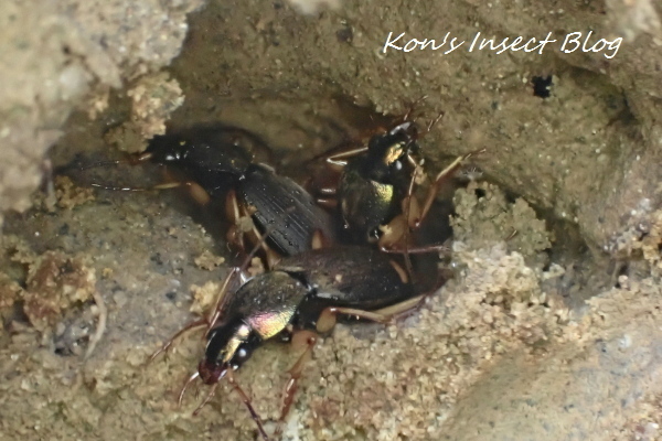TG20250201_035.jpg