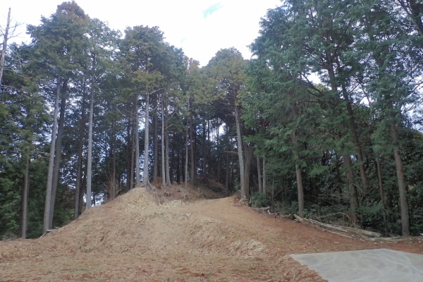 TG20250201_040.jpg