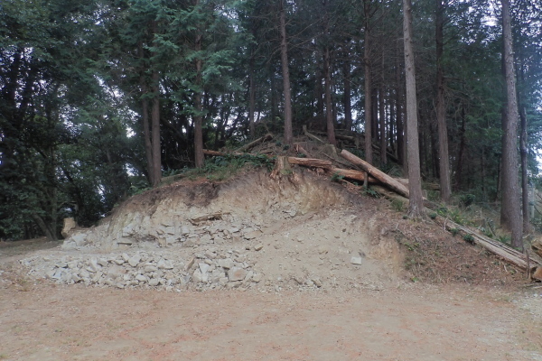TG20250201_041.jpg