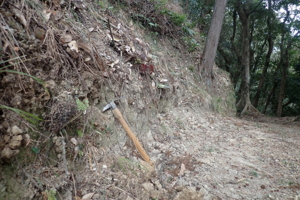 TG20250201_046.jpg