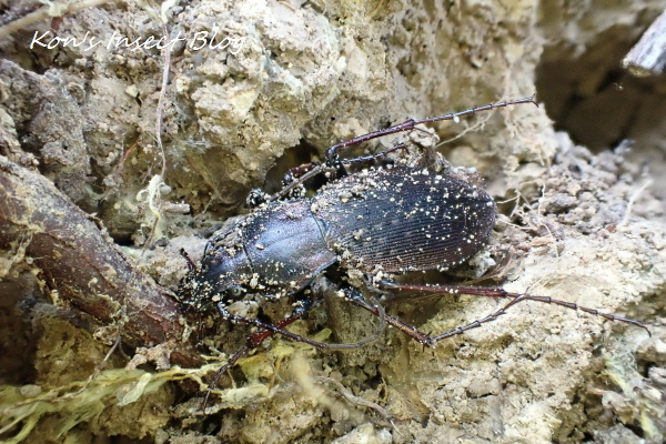 TG20250201_052.jpg