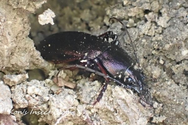 TG20250201_054.jpg