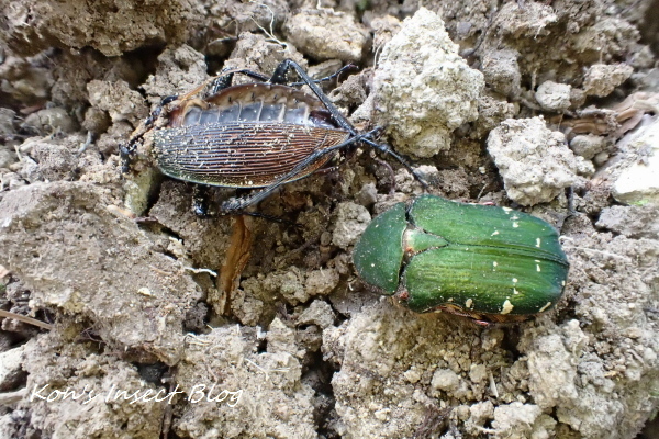 TG20250201_057.jpg