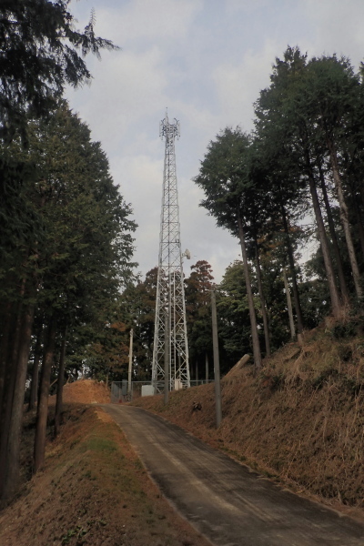 TG20250201_060.jpg