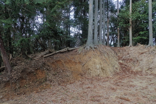 TG20250201_062.jpg