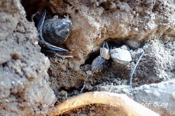 TG20250227_032.jpg