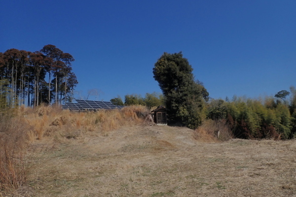 TG20250310_004.jpg