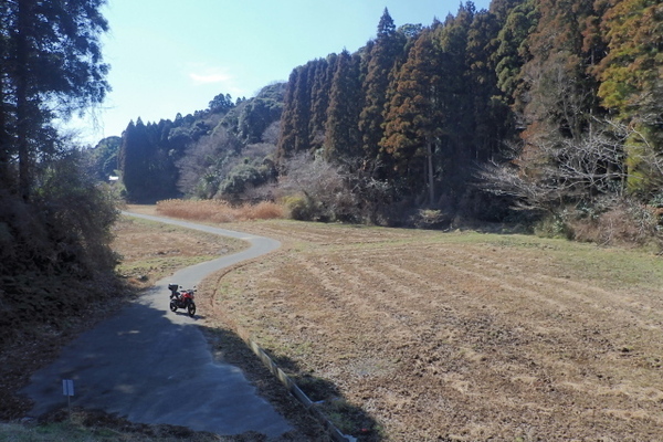 TG20250310_018.jpg