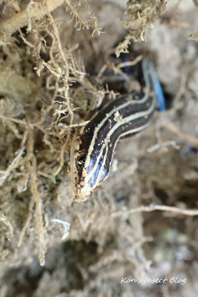 TG20250310_026.jpg