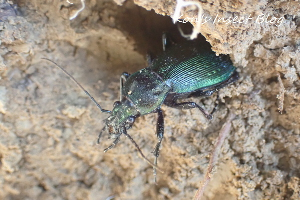 TG20250310_041.jpg